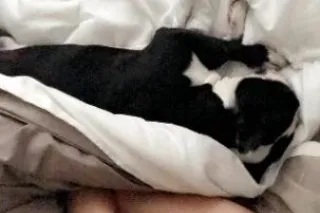 🍆HORNY FANCY GIRL💘GFE💋CREAMPIE💧ROMANTIC SEX💧420 LOVER💋AVAILABLE FOR SERVICE💋 - Image 4